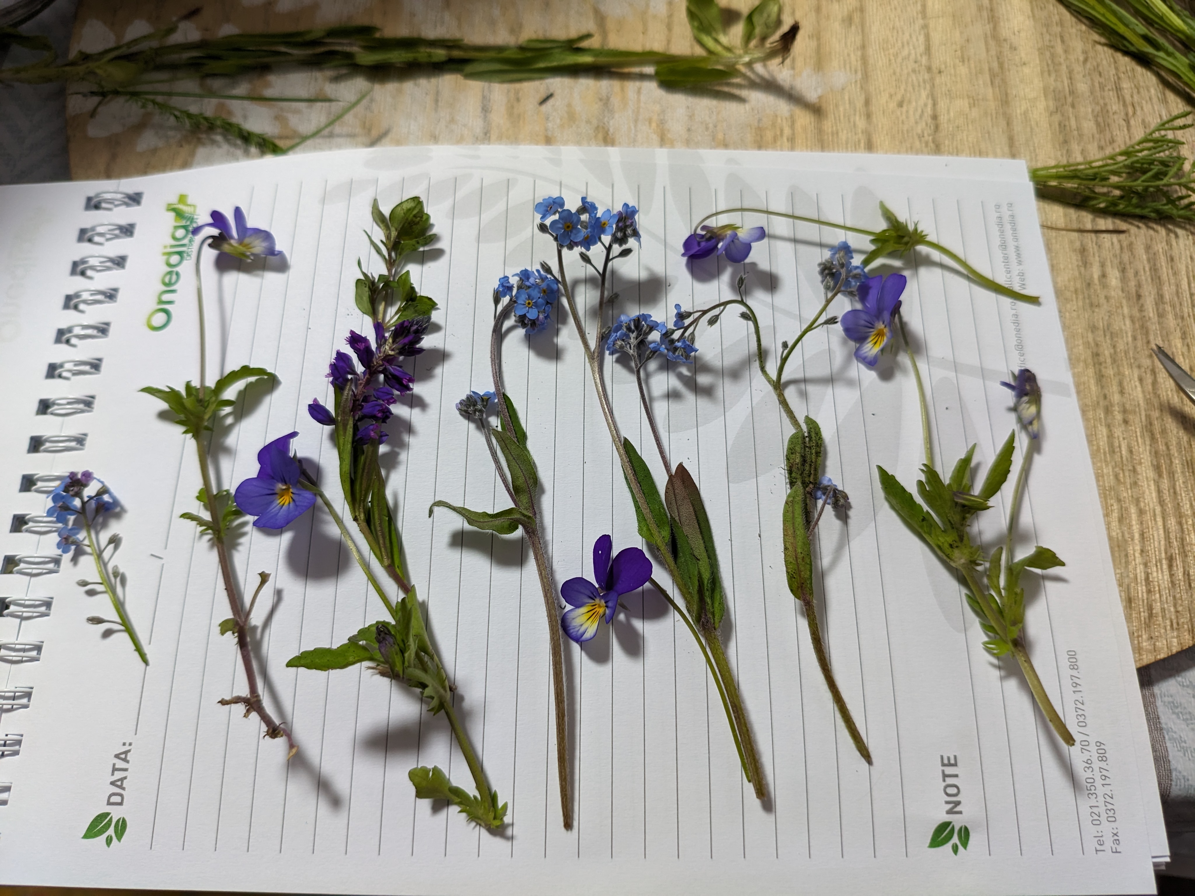 A descriptive alt text for the image